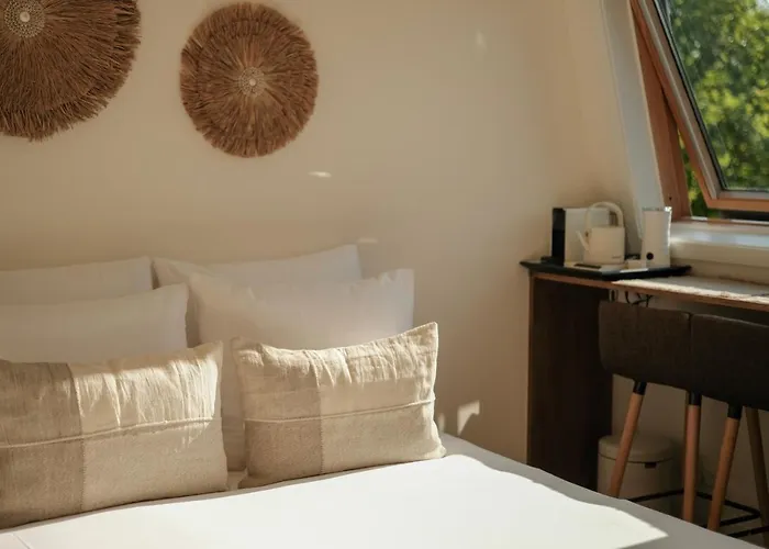 Canal View Amsterdam